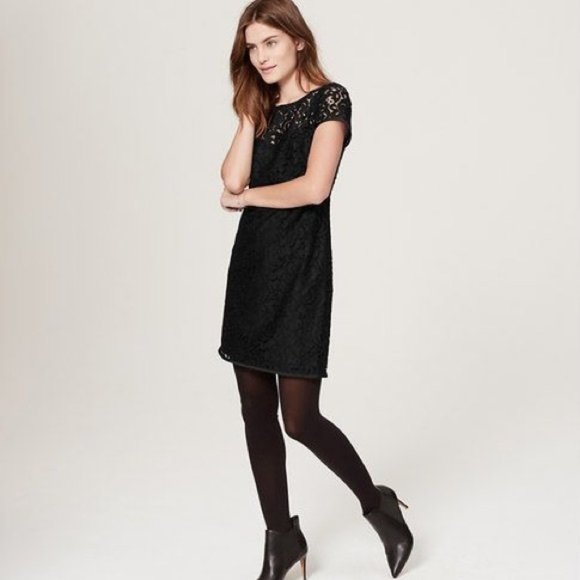 aria lace dress in gardenia afrm ARIA